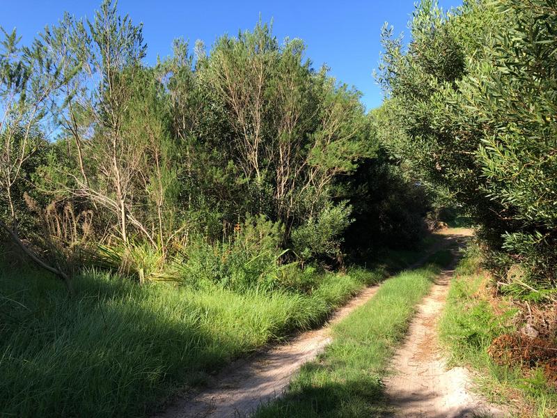 0 Bedroom Property for Sale in Baardskeerdersbos Western Cape